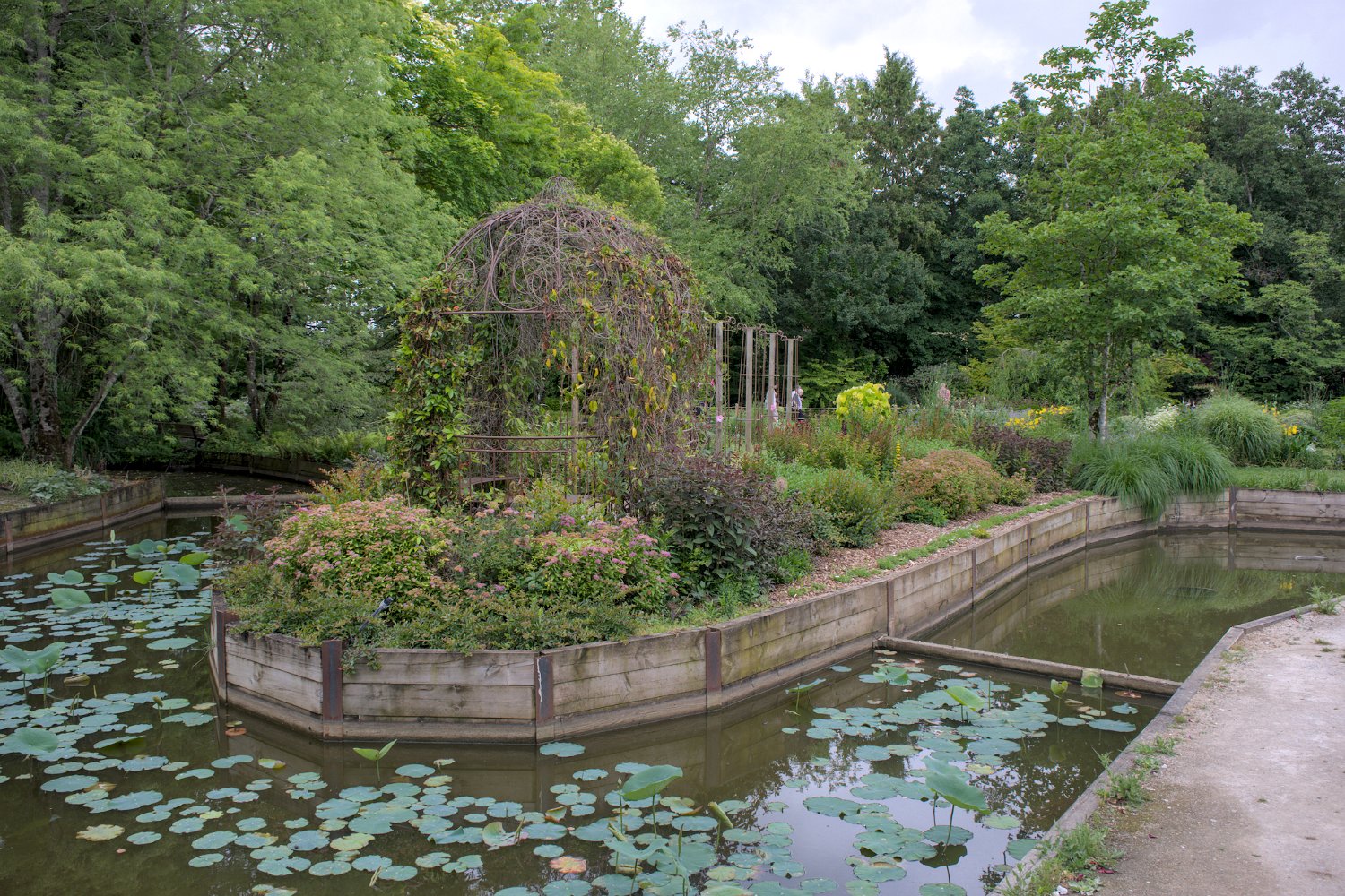 Bassin de nénuphards