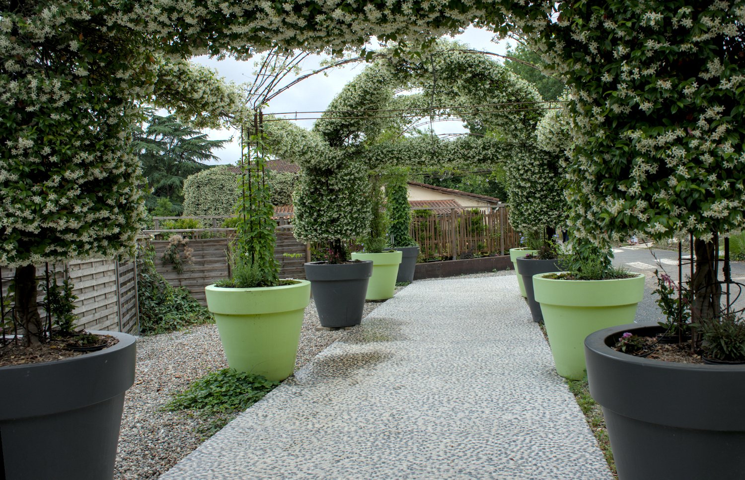 Allée de Jasmins