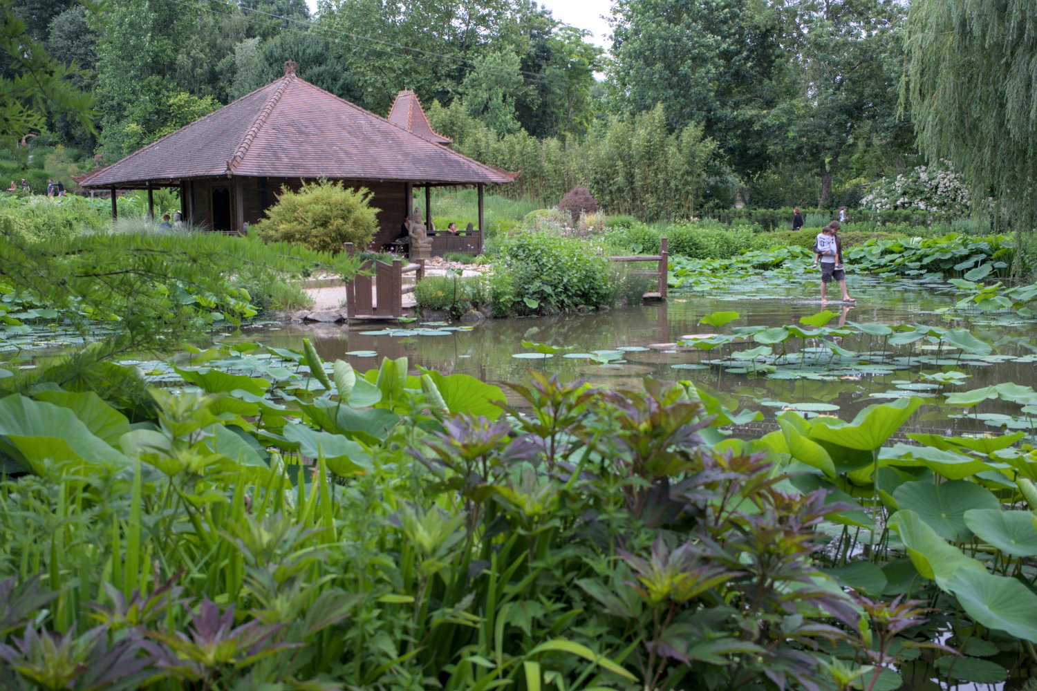 Pagode et bassin de nénuphars