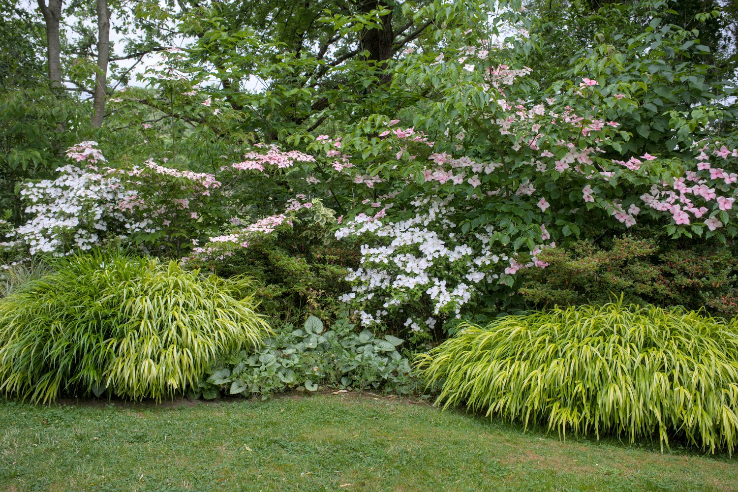 Espace fleuri